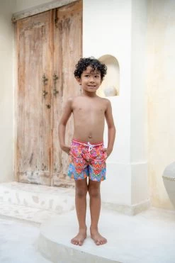 Mini Hank Board Shorts - Infamous Carnival